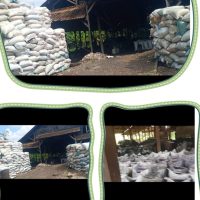 Delapan Tahun Beroperasi Pabrik Kemiri Dipekon Karangsari Diduga Ilegal Belum Tersentuh Hukum